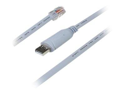 Weißes Ethernet-Kabel mit RJ45-Stecker und USB-Stecker, gezeigt als Produktbild auf weißem Hintergrund.