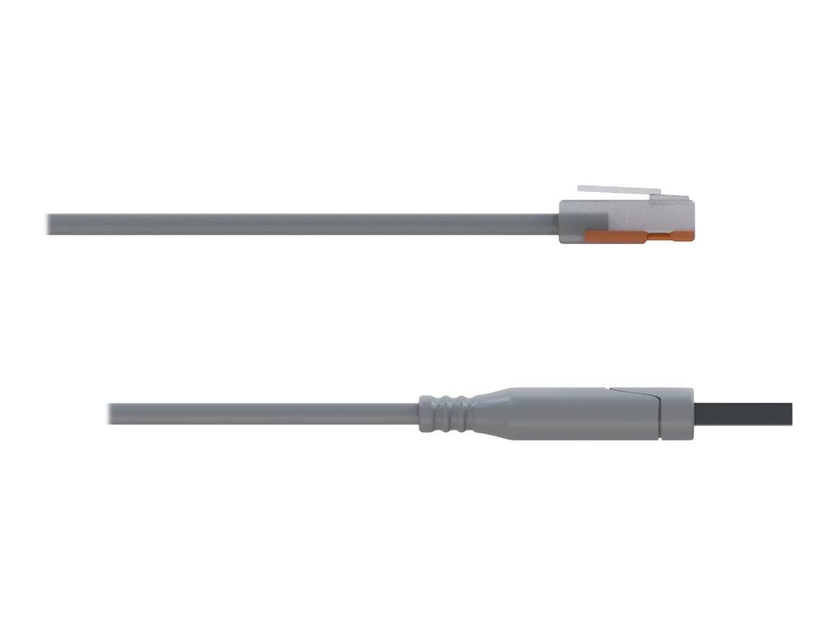 Zwei graue Steckerkabel nebeneinander auf weißem Hintergrund, jedes mit einem Stecker an einem Ende.