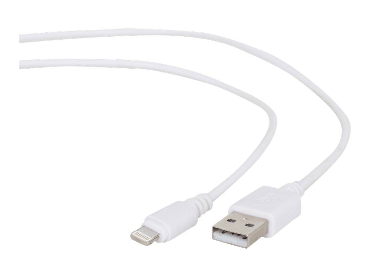 Ein weißes USB-zu-Lightning-Ladekabel mit gezeigten Anschlüssen, das die Kompatibilität mit Apple-Geräten anzeigt.