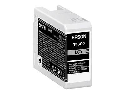 EPSON 1LB Singlepack Light Gray T46S9 Drucken, Scannen & Verbrauchsmaterial Verbrauchsmaterialien