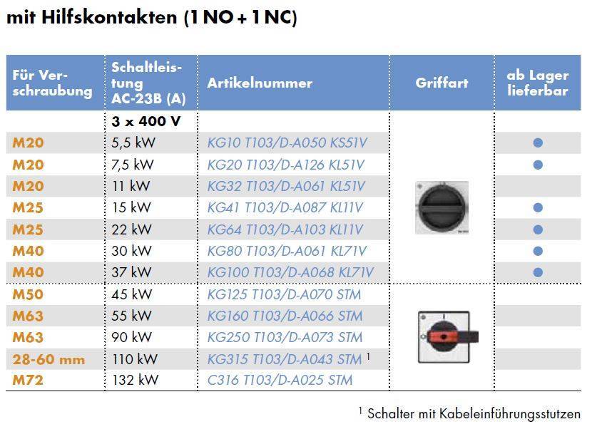 Kraus & Naimer - Reparaturschalter (EMV) - KG125.T103/D-A070.STM