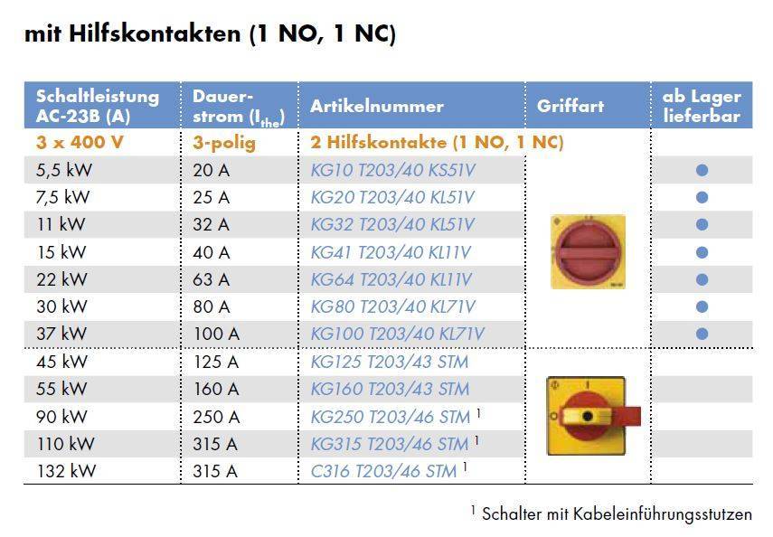 Kraus & Naimer - Reparaturschalter (EMV) - KG315.T103/D-A043.STM