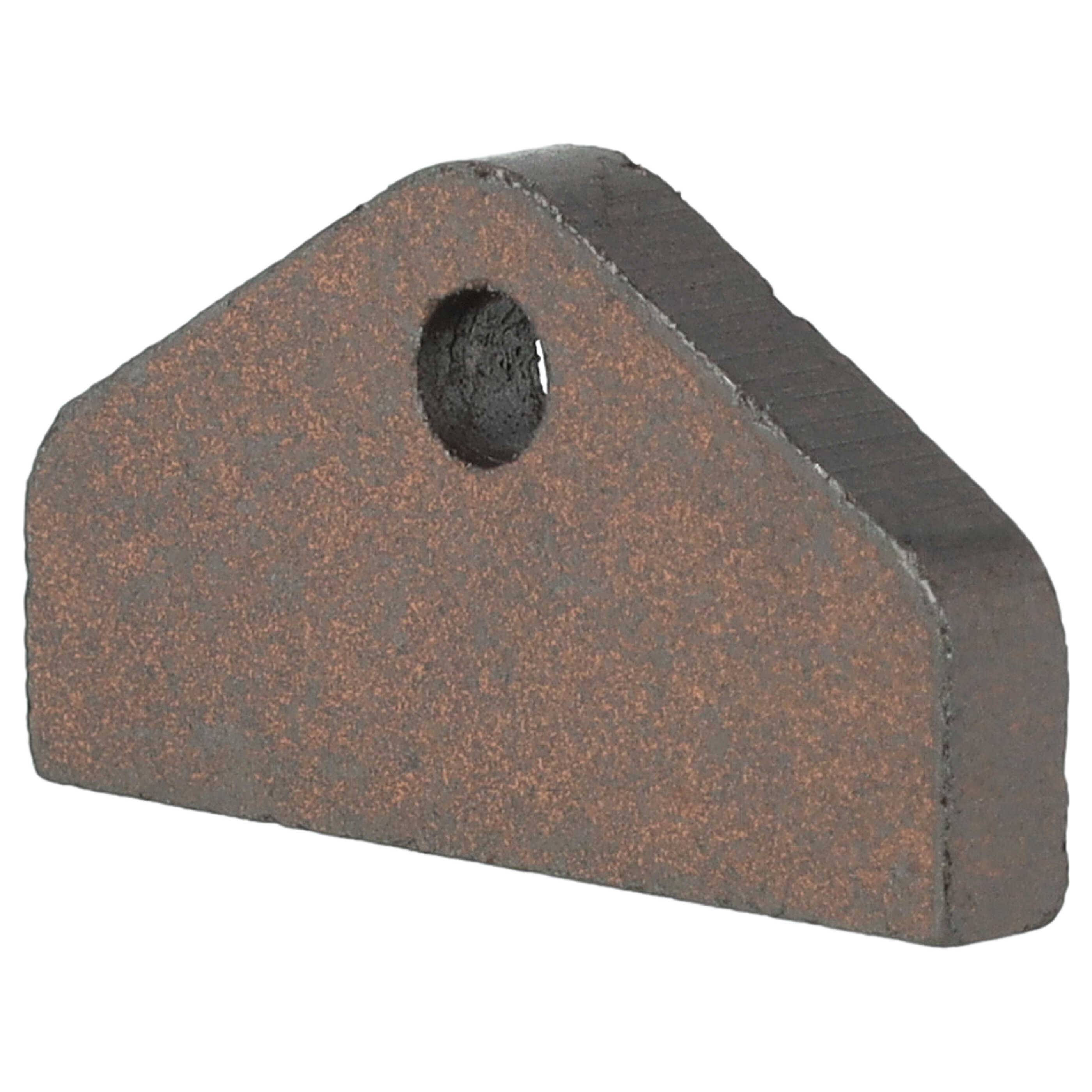 vhbw 2x Kohlebürste kompatibel mit Miele T89 T8923C, T8997WP ECOCOMFORT, T8999WP ECOCOMFORT Trockner, Kondenstrockner + Feder