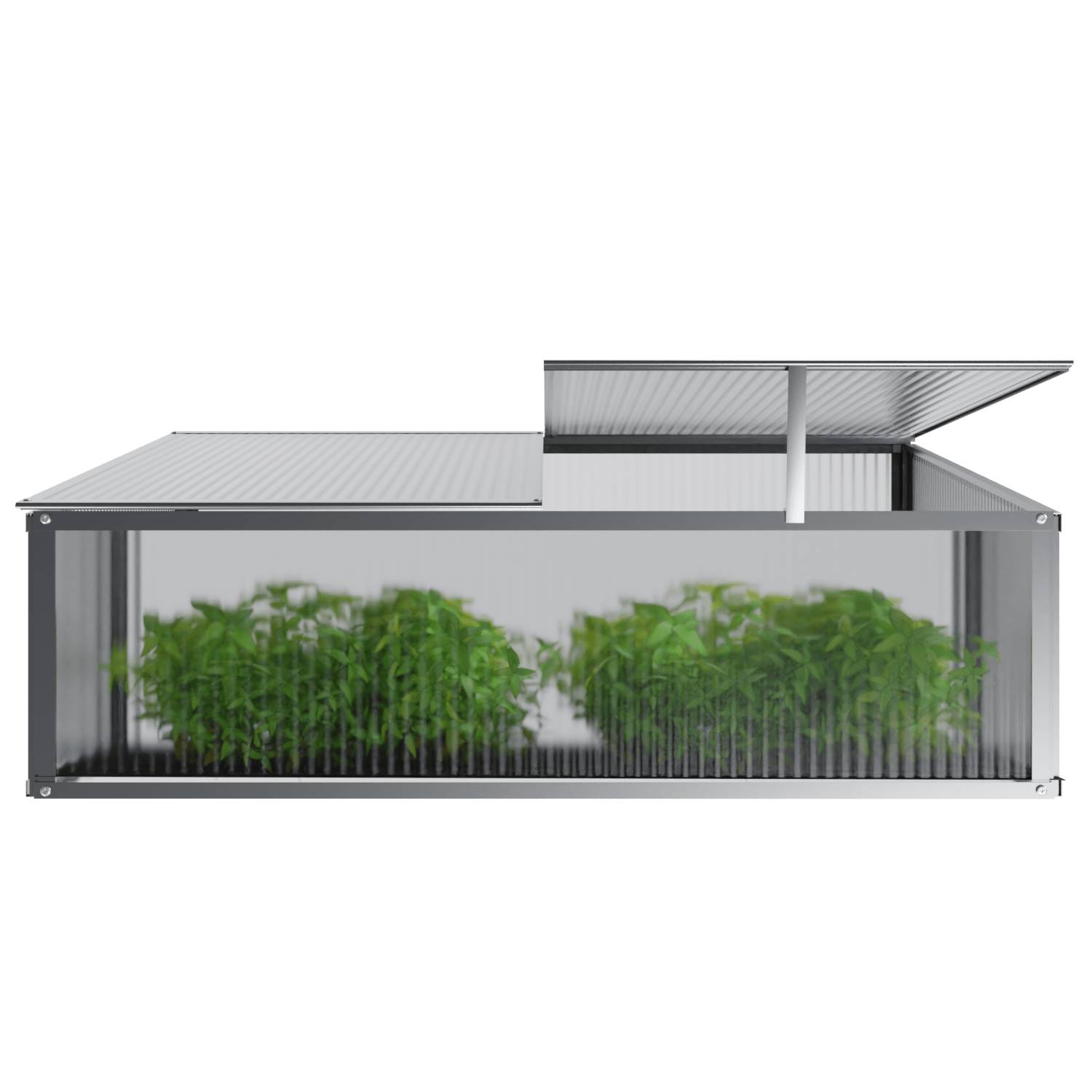 GARMIO® Frühbeet Mini Gewächshaus ALLIUM