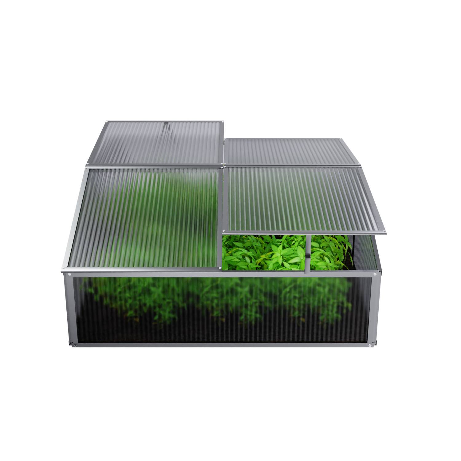 GARMIO® Frühbeet Mini Gewächshaus CALLA