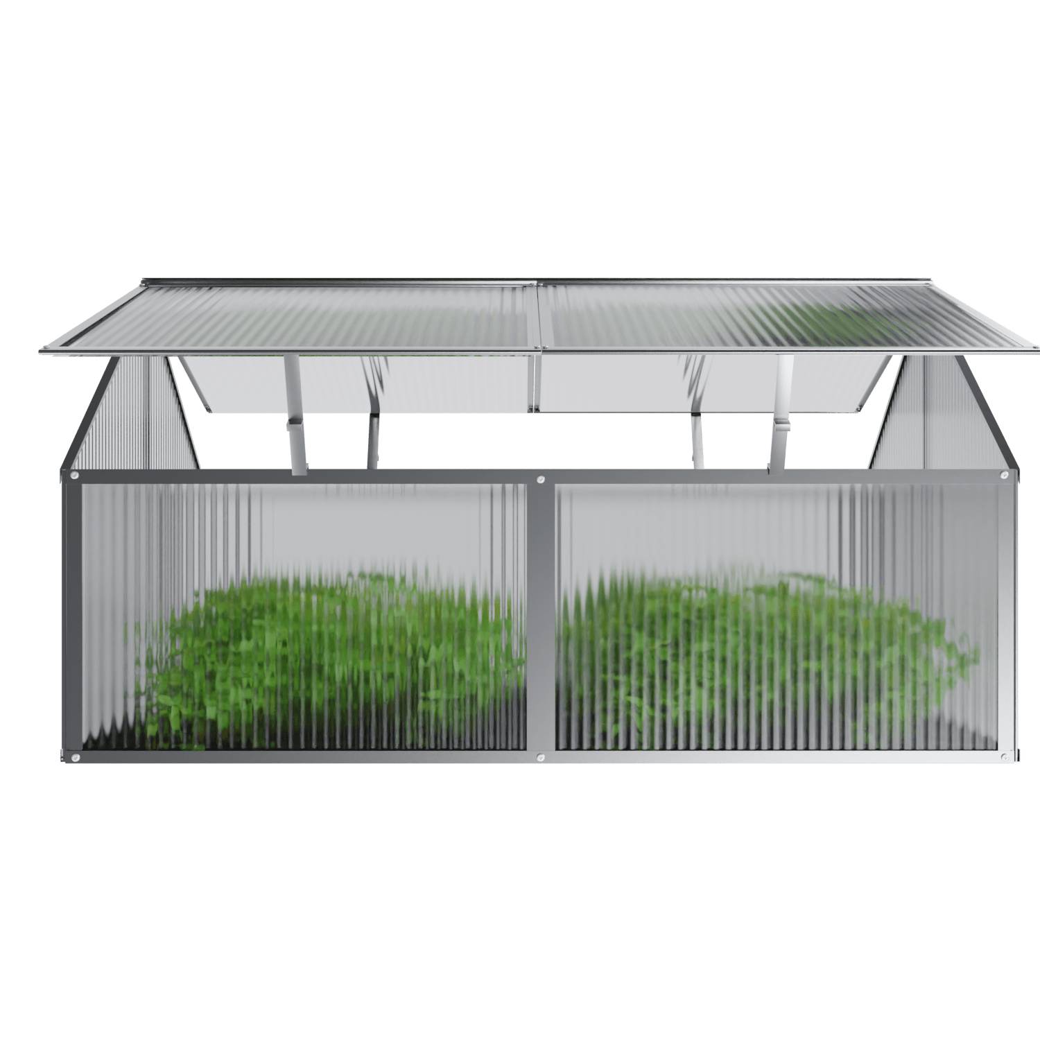 GARMIO® Frühbeet Mini Gewächshaus PROTEA