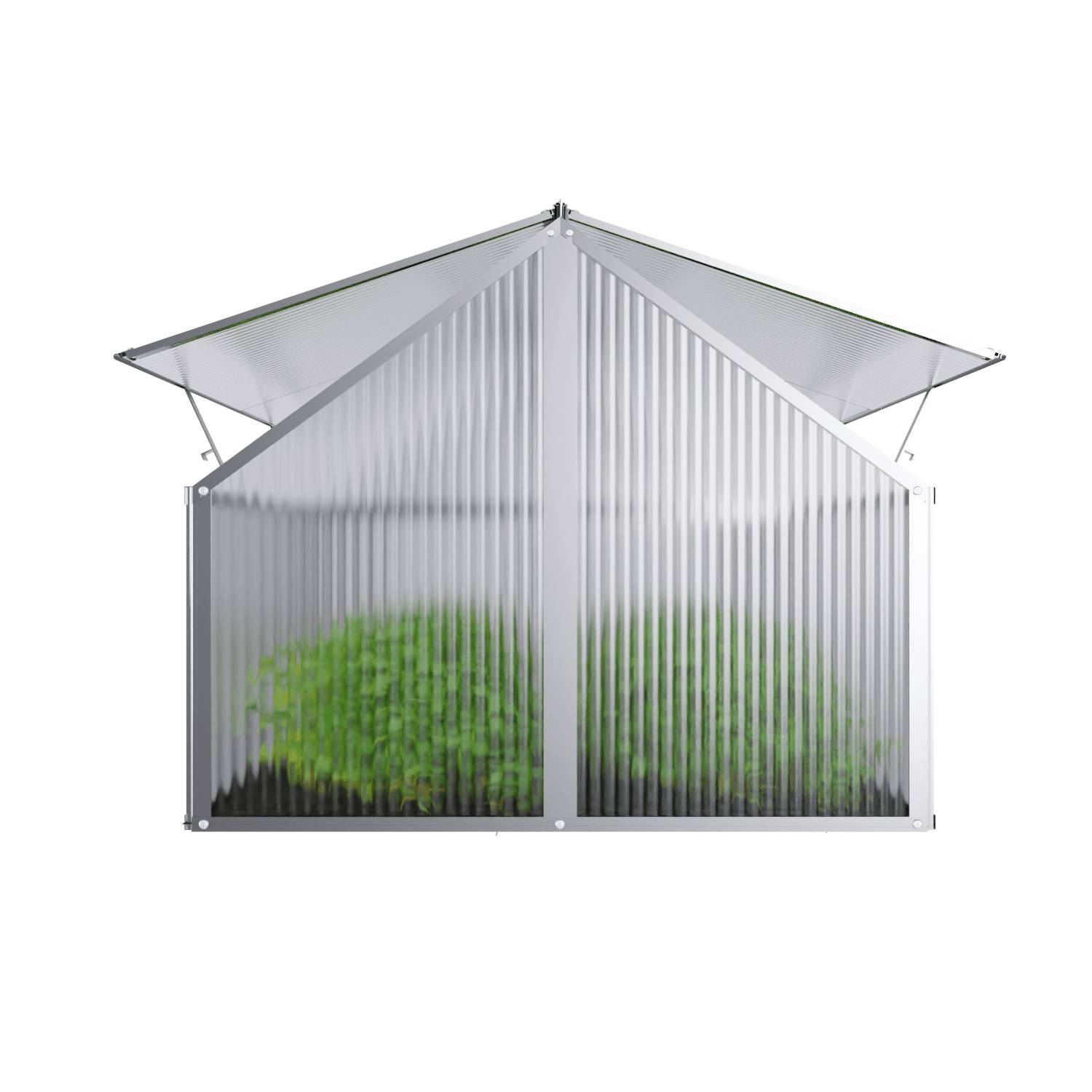 GARMIO® Frühbeet Mini Gewächshaus PROTEA