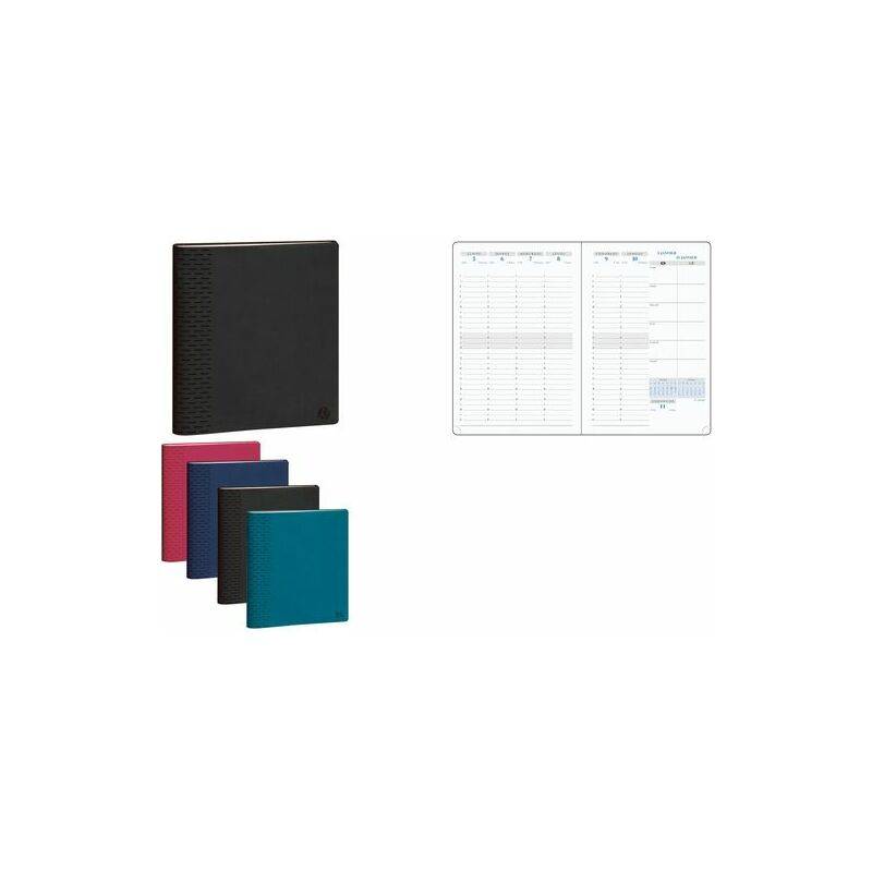 EXACOMPTA Agenda semainier SAS 20 Visuel 7, 2025/26, assorti