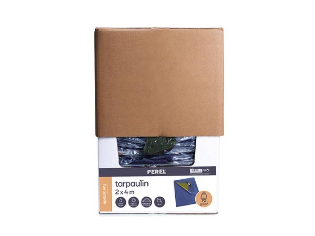Perel Abdeckplane, 12 Ösen, verstärkte Ecken, rechteckig, Blau/Grün, 70 g/m², 2 x 4 m