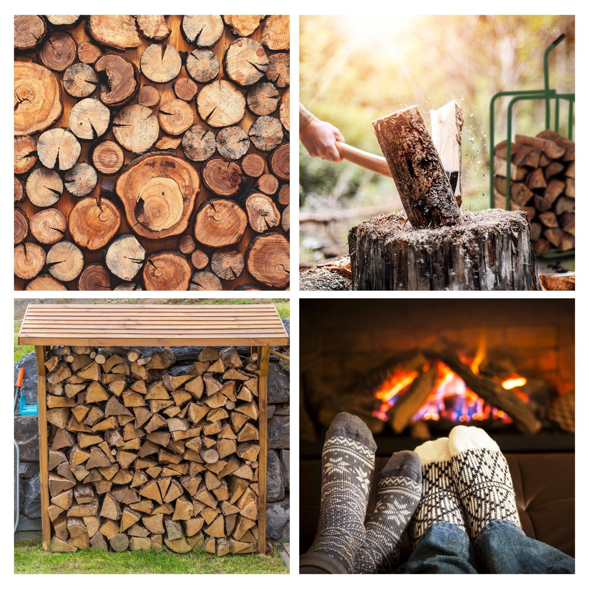 Toolland Sackkarre für Holz, Luftreifen, Grün, Tragkraft 250 kg