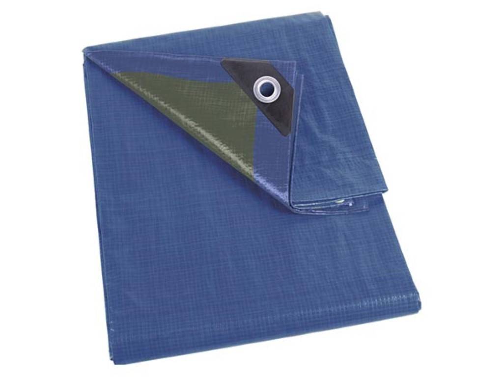 Perel Abdeckplane, 20 Ösen, verstärkte Ecken, rechteckig, Blau/Grün, 70 g/m², 2 x 8 m