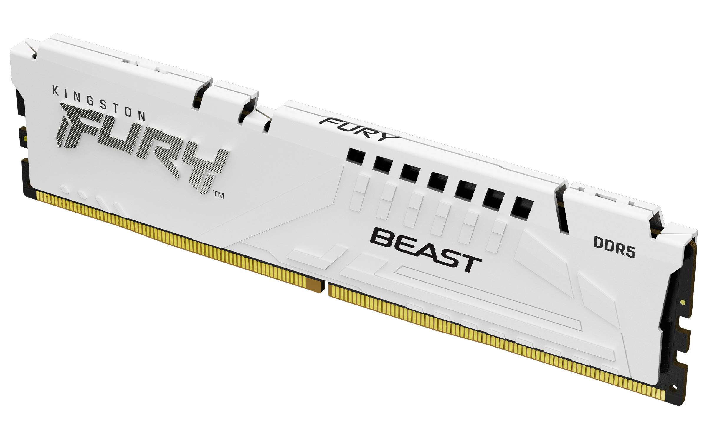 Weiß Kingston FURY Beast DDR5 Desktop-RAM-Modul in einer produktgestalteten Abbildung gezeigt.