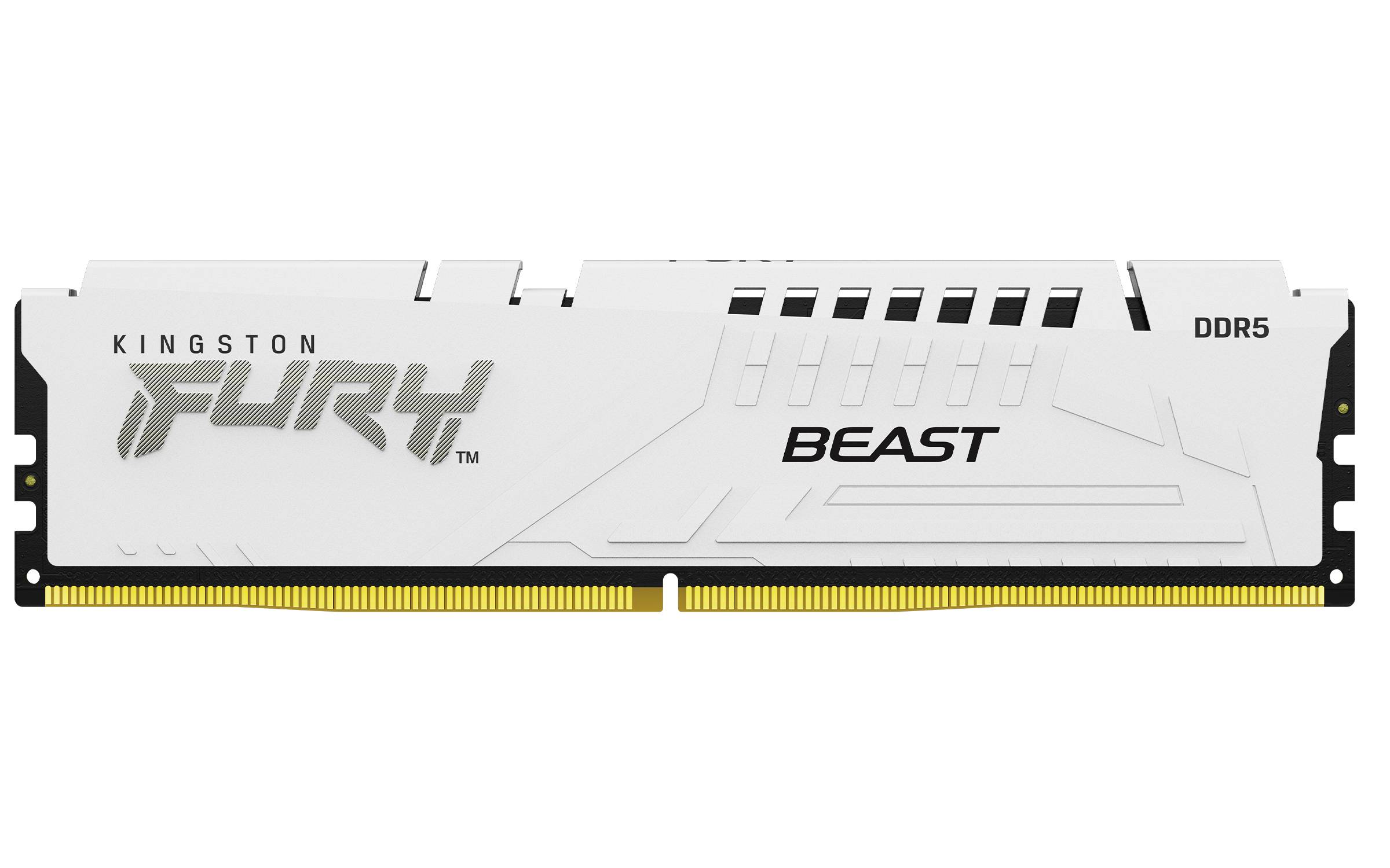 Kingston FURY BEAST DDR5 Desktop-RAM-Modul in Weiß mit goldener Anschlussleiste gezeigt.