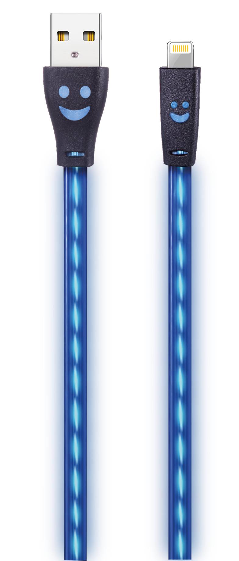 2GO 795536 - 1 m - USB B - Lightning - Blau - Datenkabel - schwarz - mit blauer
