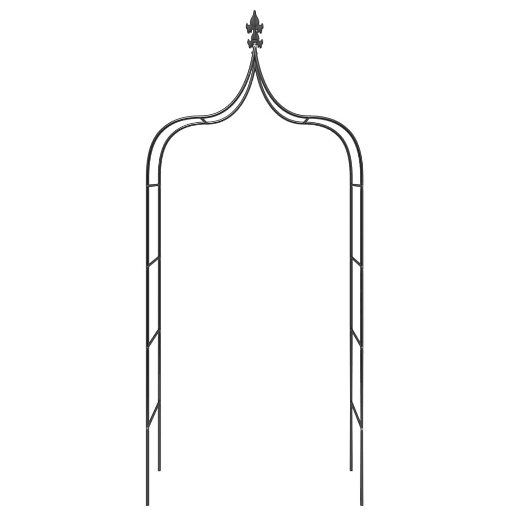 vidaXL Gartenbögen 2 Stk. Schwarz 120x38x260 cm Stahl