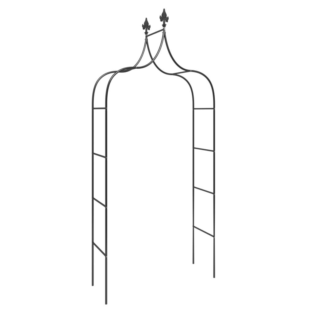 vidaXL Gartenbögen 2 Stk. Schwarz 120x38x260 cm Stahl