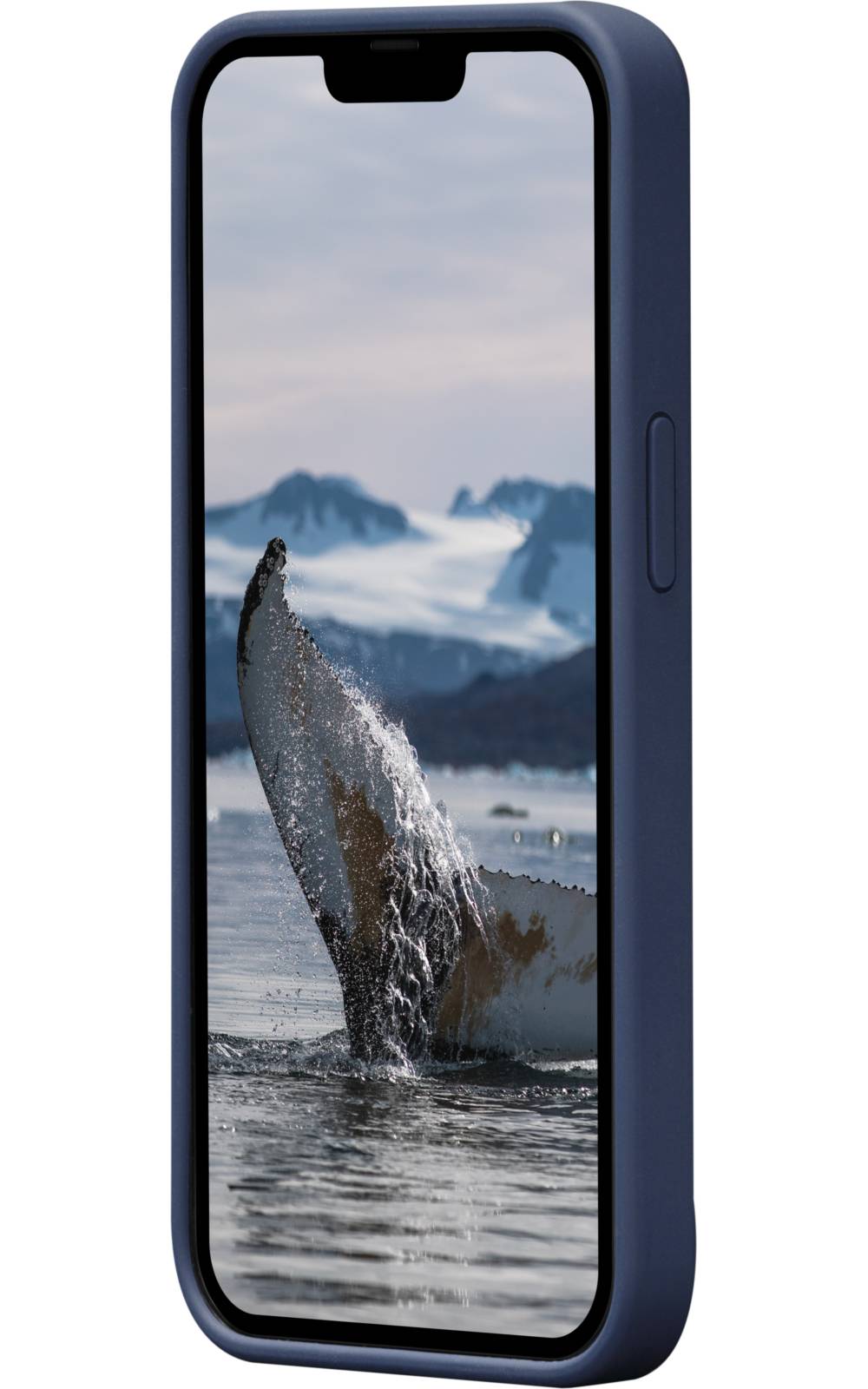 Smartphone-Mockup, das einen Wal zeigt, der in eisigem Wasser ausbricht, mit verschneiten Bergen im Hintergrund.