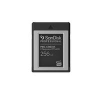 SANDISK PROFESSIONAL SanDisk - Flash-Speicherkarte - 256 GB - CFexpress Typ B -
