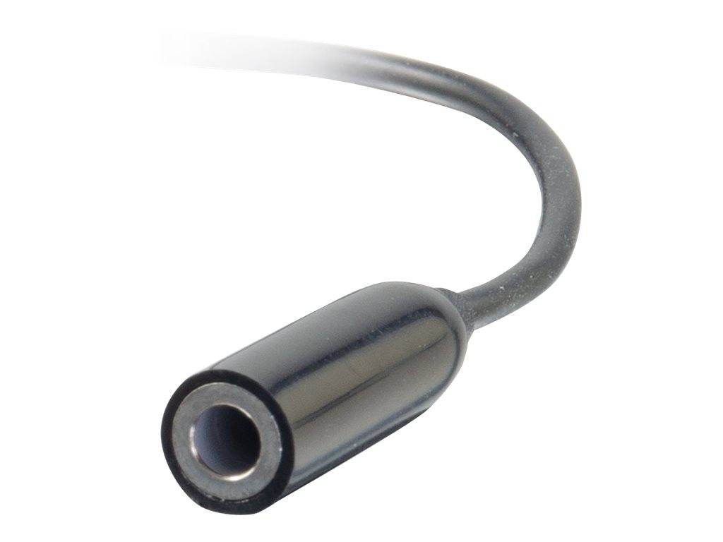 Schwarzes Kabel mit einem zylindrischen weiblichen Audiobuchse-Anschluss auf weißem Hintergrund.