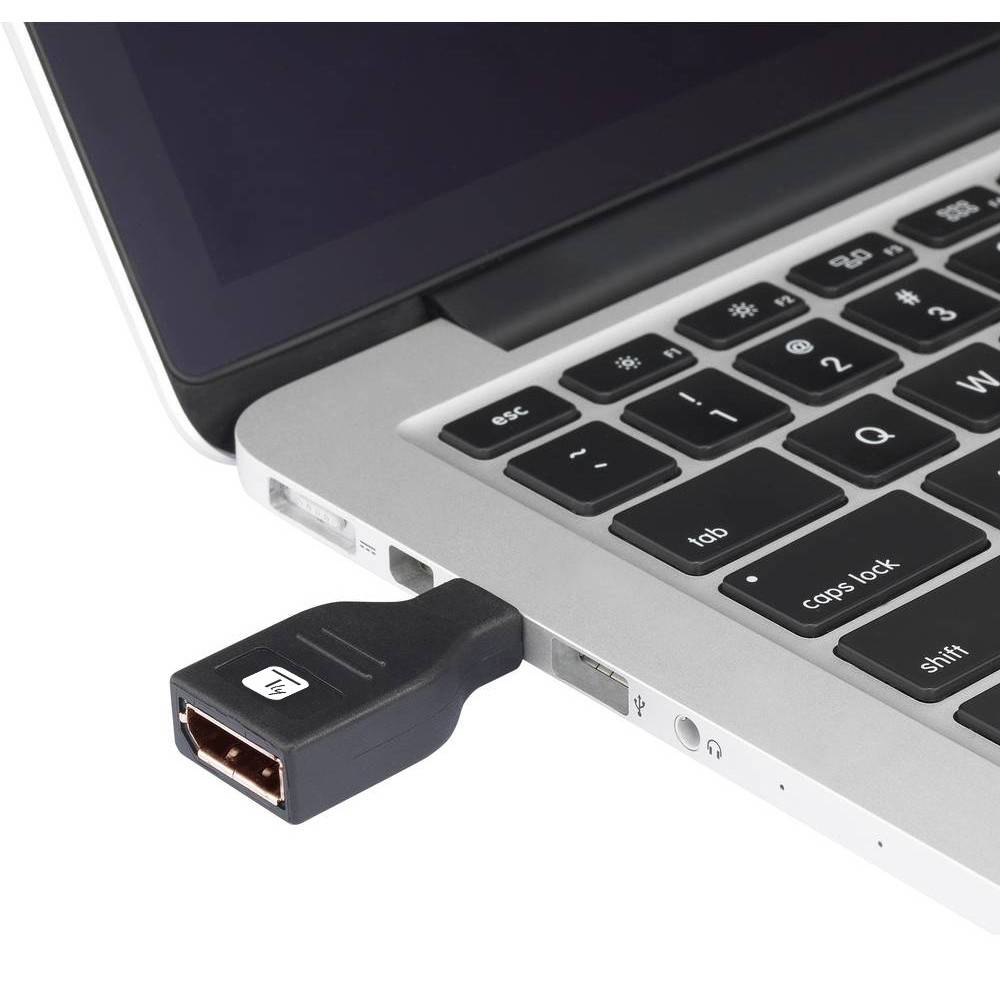 EFB Elektronik EFB-Elektronik - DisplayPort-Adapter - Mini DisplayPort (M)
