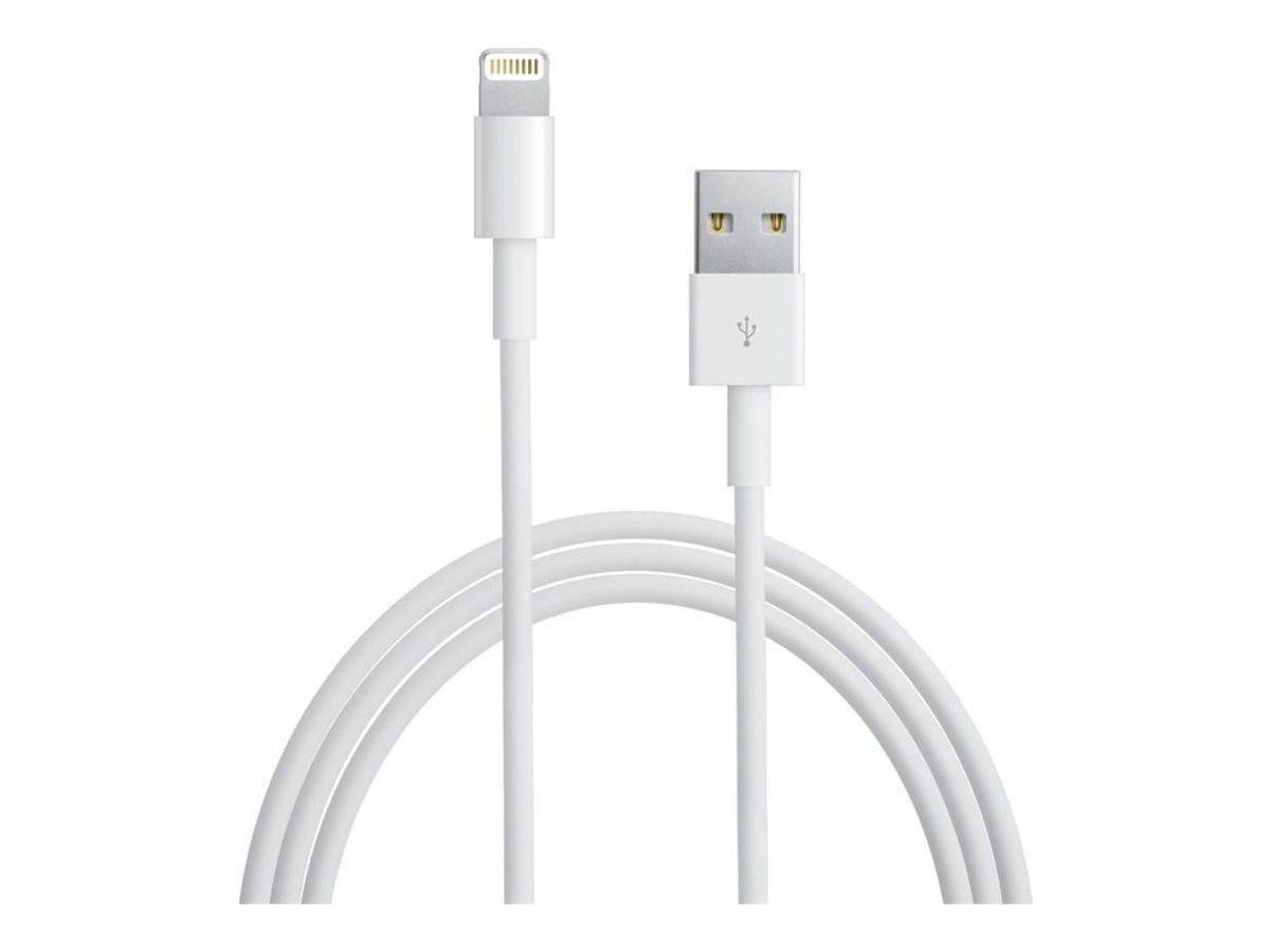 IC INTRACOM - TECHly - Lightning-Kabel - Lightning männlich zu USB männlich