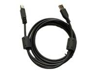 Schwarzes USB-Kabel ordentlich aufgerollt, mit Steckern an beiden Enden und Ferritkernen in der Nähe jedes Steckers.