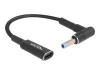 Delock - Netzteil - 24 pin USB-C (W) zu Gleichstromstecker 4,5 x 3,0 mm (M)