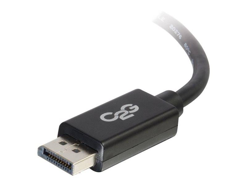 Schwarzes USB-C-Adapterkabel mit kompaktem Steckergehäuse und metallischem Stecker auf weißem Hintergrund.