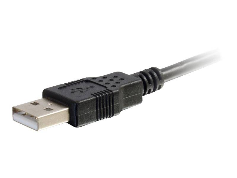 Schwarzer USB-Typ-A-Kabelstecker auf weißem Hintergrund, in Nahaufnahme dargestellt