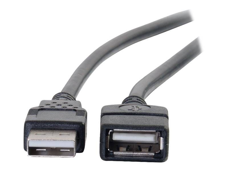 Nahaufnahme eines USB-Kabels mit zwei verschiedenen Anschlüssen: einem Standard-USB-A-Stecker und einem passenden USB-Buchsenadapter.