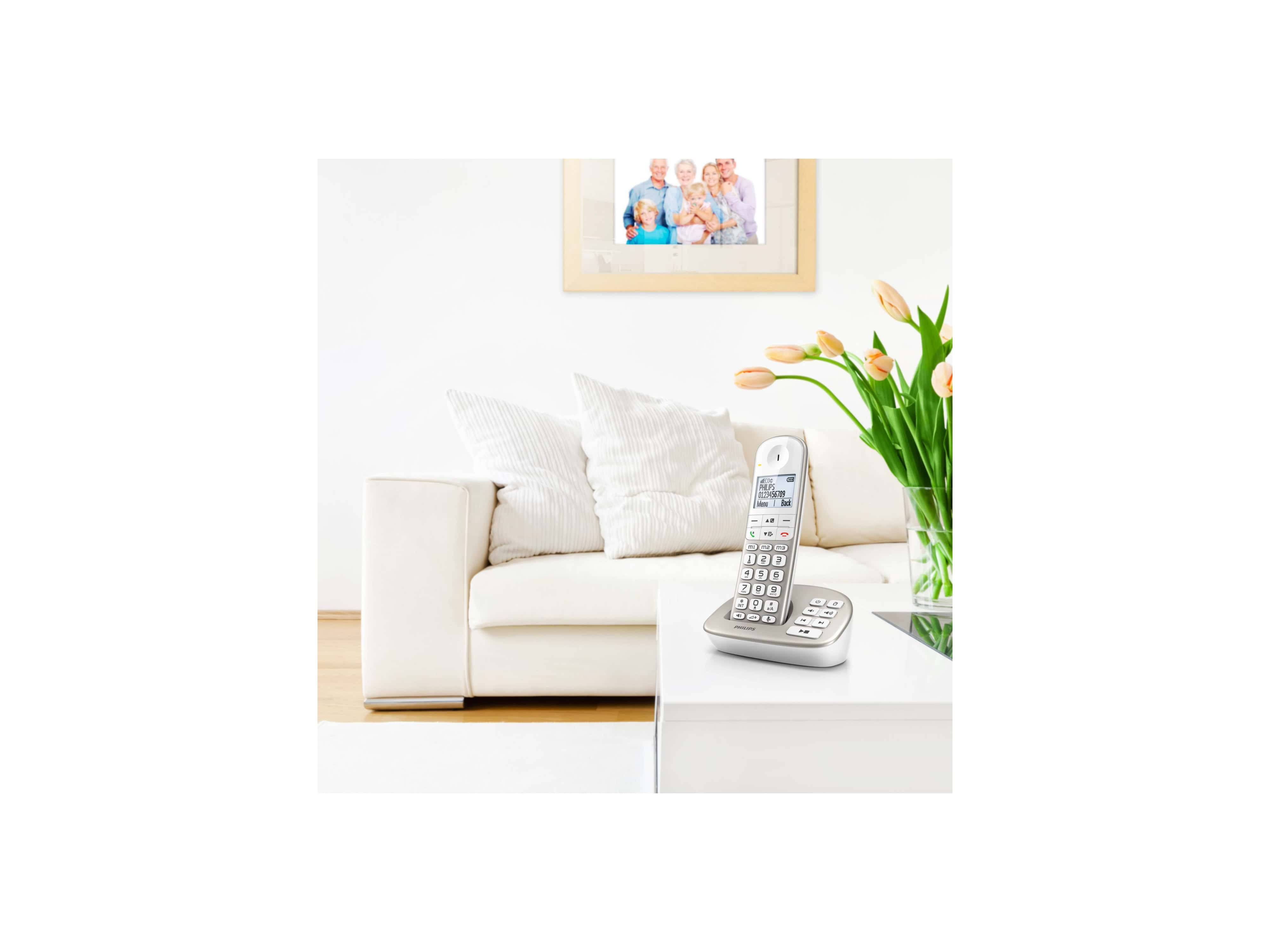 PHILIPS Telefon XL4951S/38