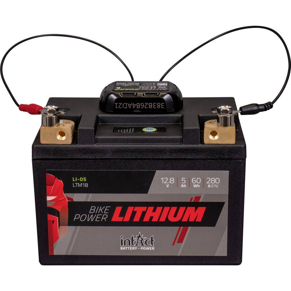 inTact Batterieüberwachung GL10 Battery-Guard 12 V Bluetooth® und appfähig