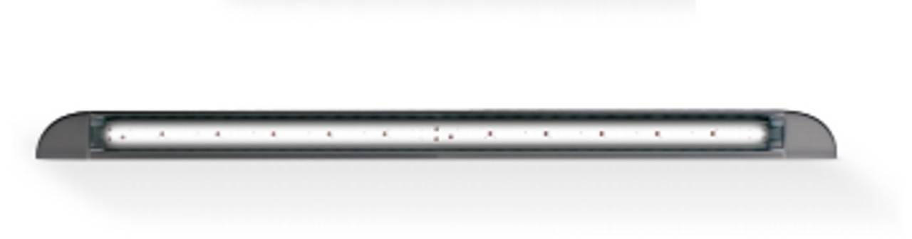 Umfeldleuchte, Black, 443 mm Länge, 24 Volt, 500 Lumen, für Innen und Außen