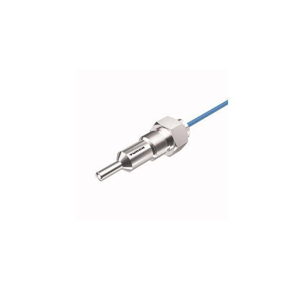 Turck Eintauchsensor FCS-G1/2H #6870393
