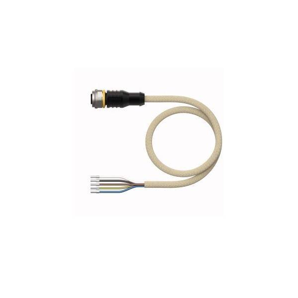 Turck Aktuator- u. Sensorleitung RKC5T-5/TXL1001