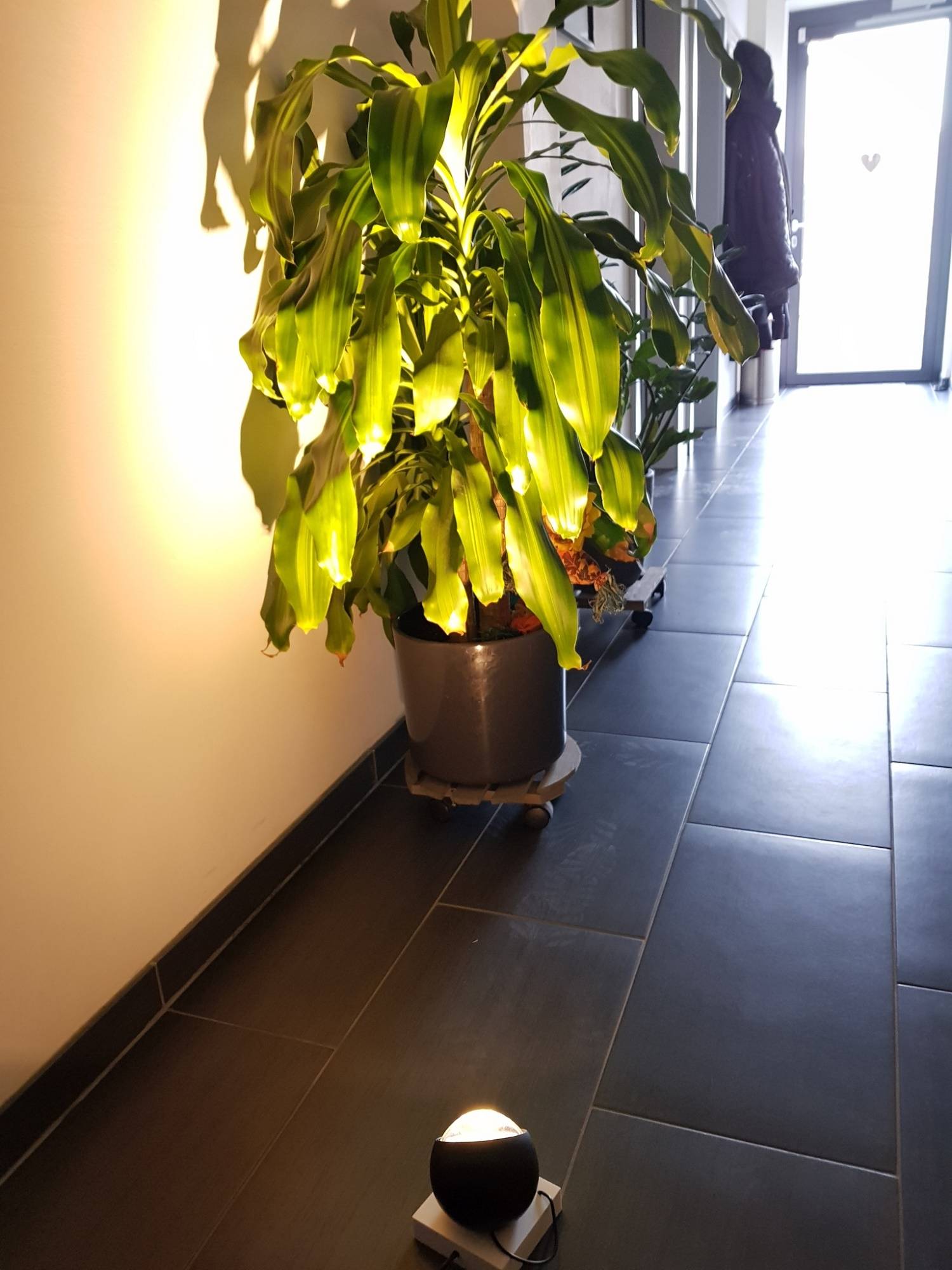 Deutsche LED-Wand-/Tisch-/Bodenleuchte Mercury Chrom Glas 5,1W 450lm Ø10cm