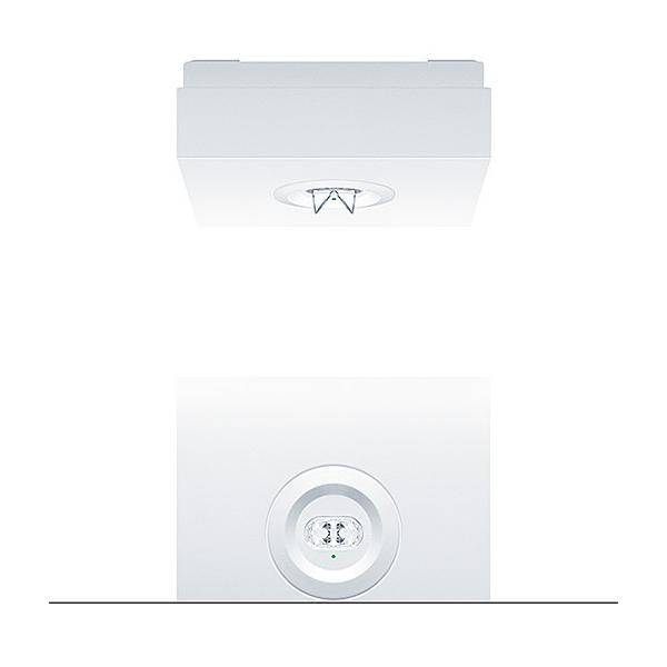 Zumtobel Group Sicherheitsleuchte RESCLITE P #42930503