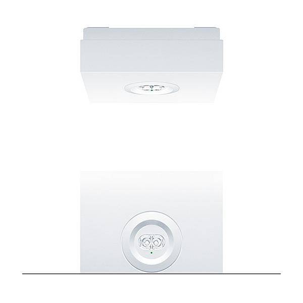Zumtobel Group Sicherheitsleuchte RESCLITE P #42931401