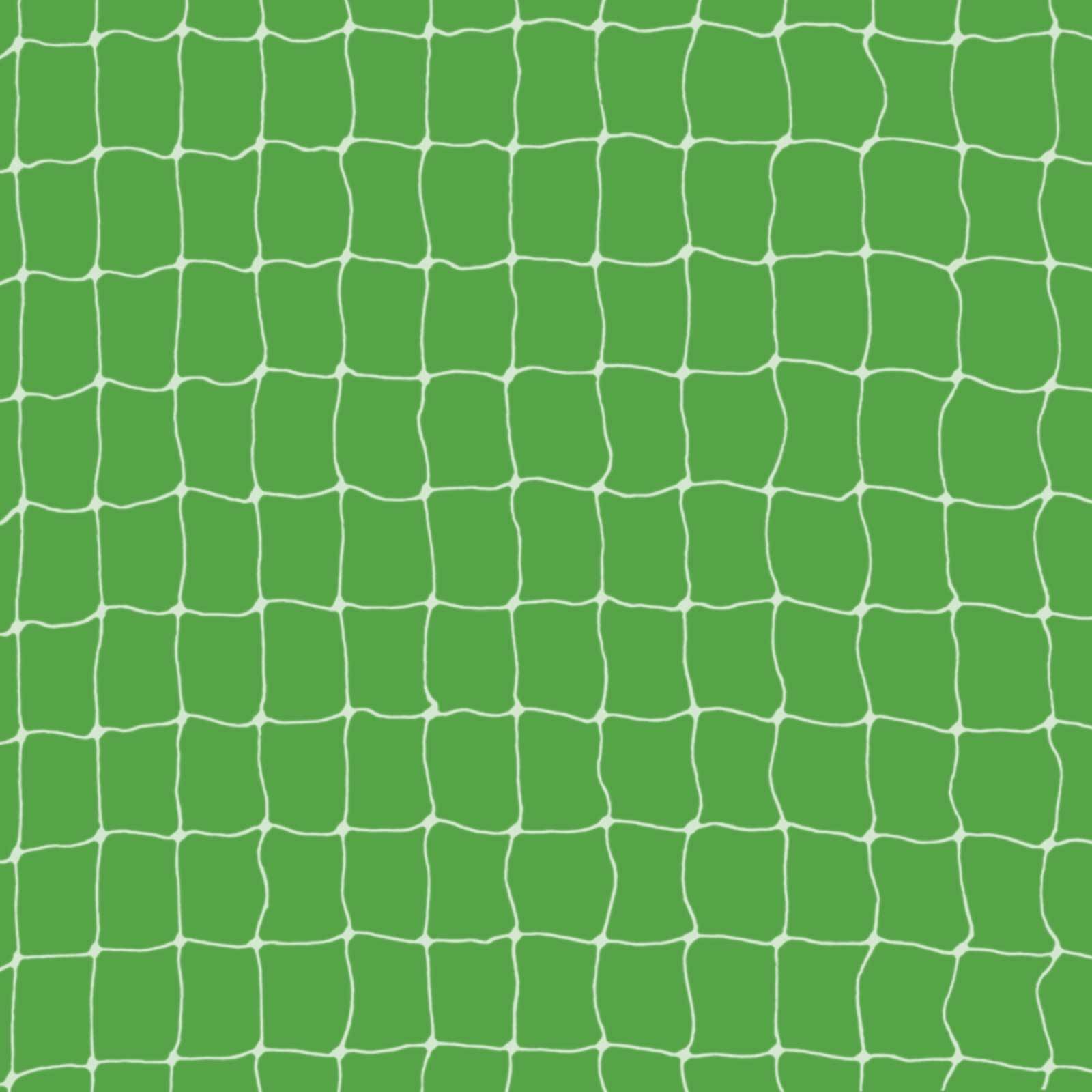 Katzenschutznetz 3 x 2m transparent / weiß