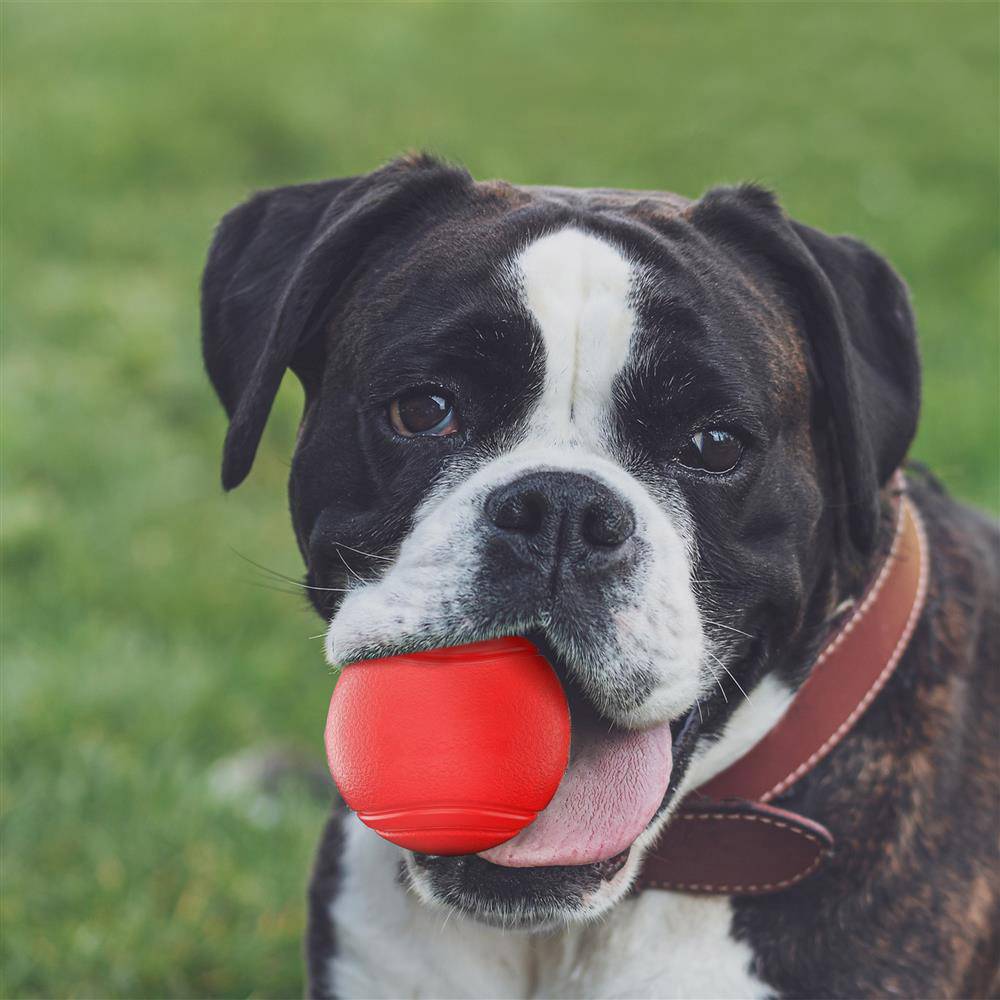 Intirilife Hunde Gummiball 7cm in KNALL ROT – Hundeball Haustier Spielzeug mit 7 cm Durchmesser ideal zur Zahnreinigung – Bissfest, Geruchsneutral