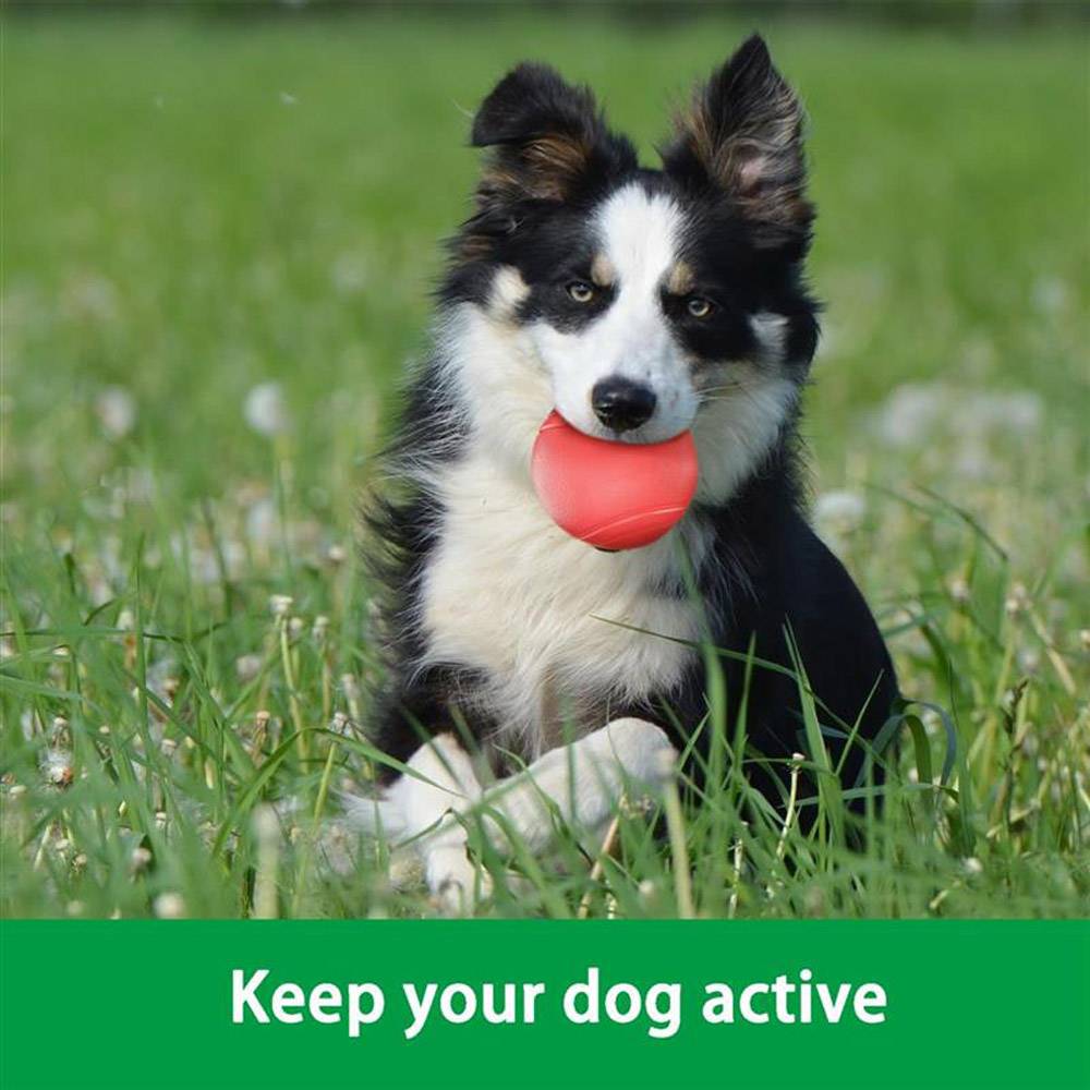 Intirilife Hunde Gummiball 7cm in KNALL ROT – Hundeball Haustier Spielzeug mit 7 cm Durchmesser ideal zur Zahnreinigung – Bissfest, Geruchsneutral