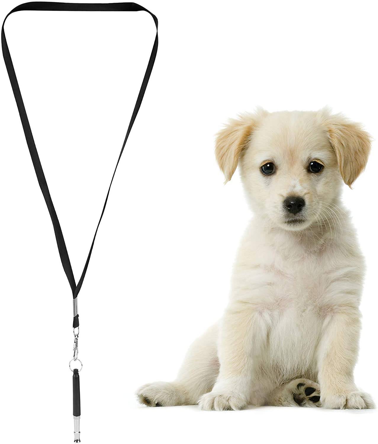 Intirilife Hundepfeife in SCHWARZ – Hunde Trainingspfeife mit Umhänge Band mit einstellbarer Frequenz zur Welpen-Erziehung und Hunde-Schulung