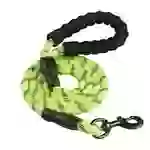 Intirilife Reflektierende Nylon Hundeleine Haustierleine in Grün mit 1.5 Metern Länge zum Spazieren gehen mit Ihrem Haustier Intirilife Reflektierende Nylon Hundeleine Haustierleine in Grün mit 1.5 Metern Länge zum Spazieren gehen mit Ihrem Haustier