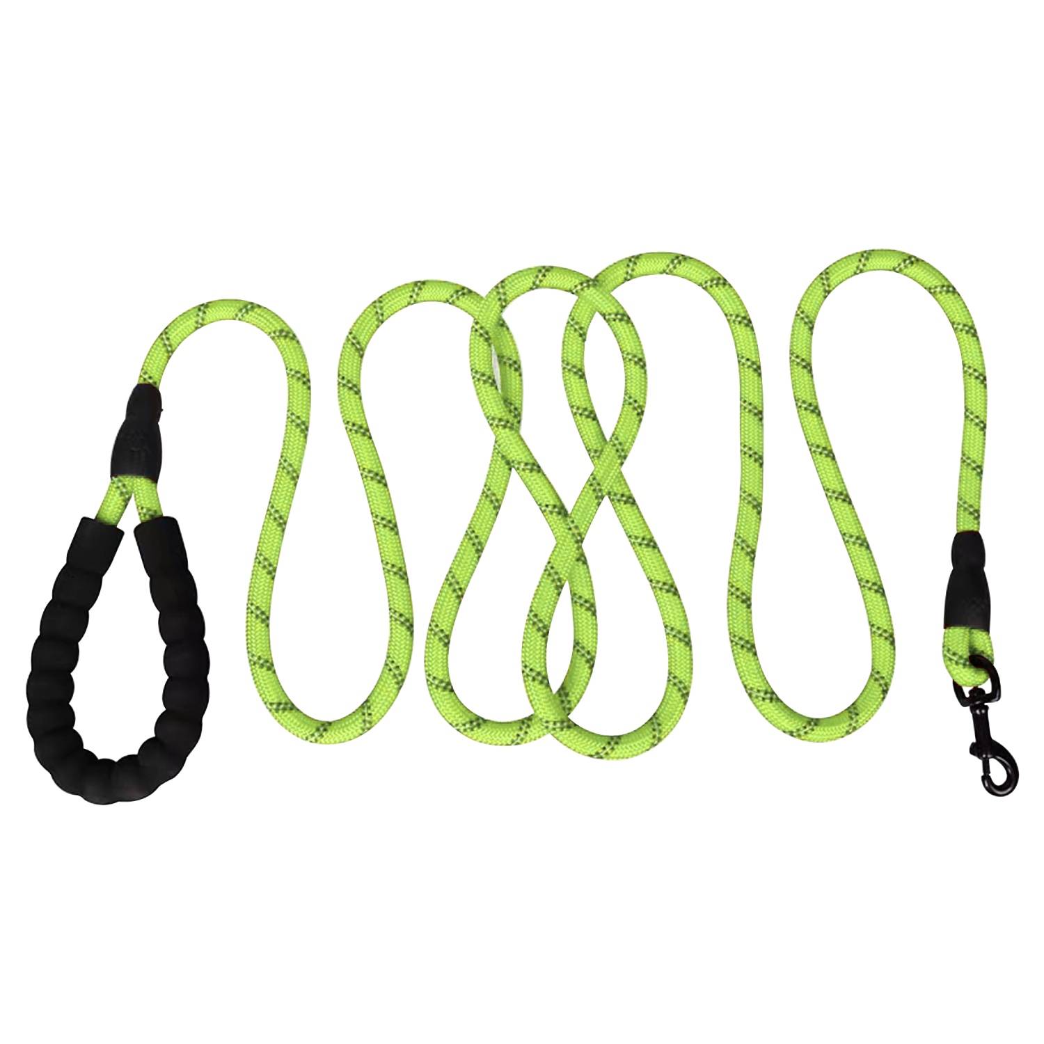 Intirilife Reflektierende Nylon Hundeleine Haustierleine in Grün mit 1.5 Metern Länge zum Spazieren gehen mit Ihrem Haustier