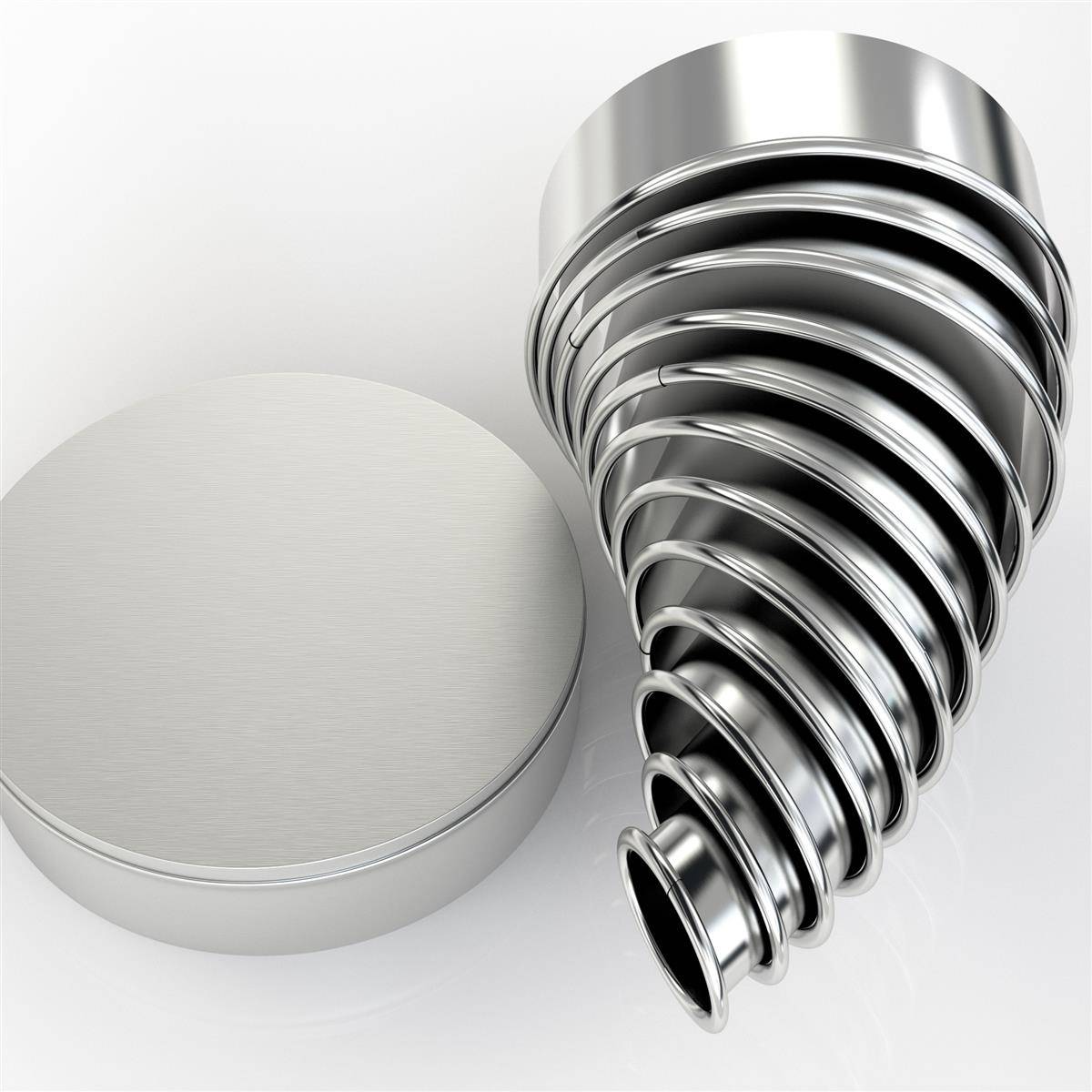 Intirilife 12-teiligs Ausstechformen Set in Silber mit Aufbewahrungsbox - Cutter Ringe Rund aus Edelstahl für Kekse Cookie Plätzchen Gebäck Backfor