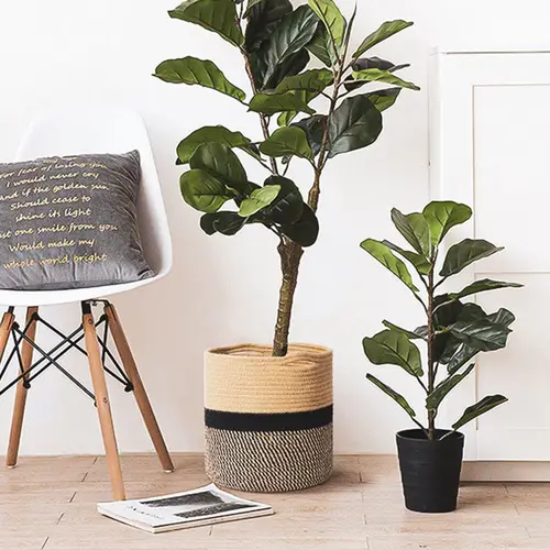 Intirilife flexibler Baumwollseil Wäschekorb - Pflanzkorb Aufbewahrungskorb mit 25L Volumen für Ordnung und Sauberkeit Intirilife flexibler Baumwollseil Wäschekorb - Pflanzkorb Aufbewahrungskorb mit 25L Volumen für Ordnung und Sauberkeit