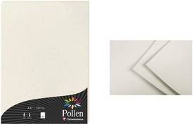 Pollen by Clairefontaine Papier Natura, DIN A4, 210 g/qm naturweiß, Maße: 210 x 297 mm, 100 % Recyclingpapier,