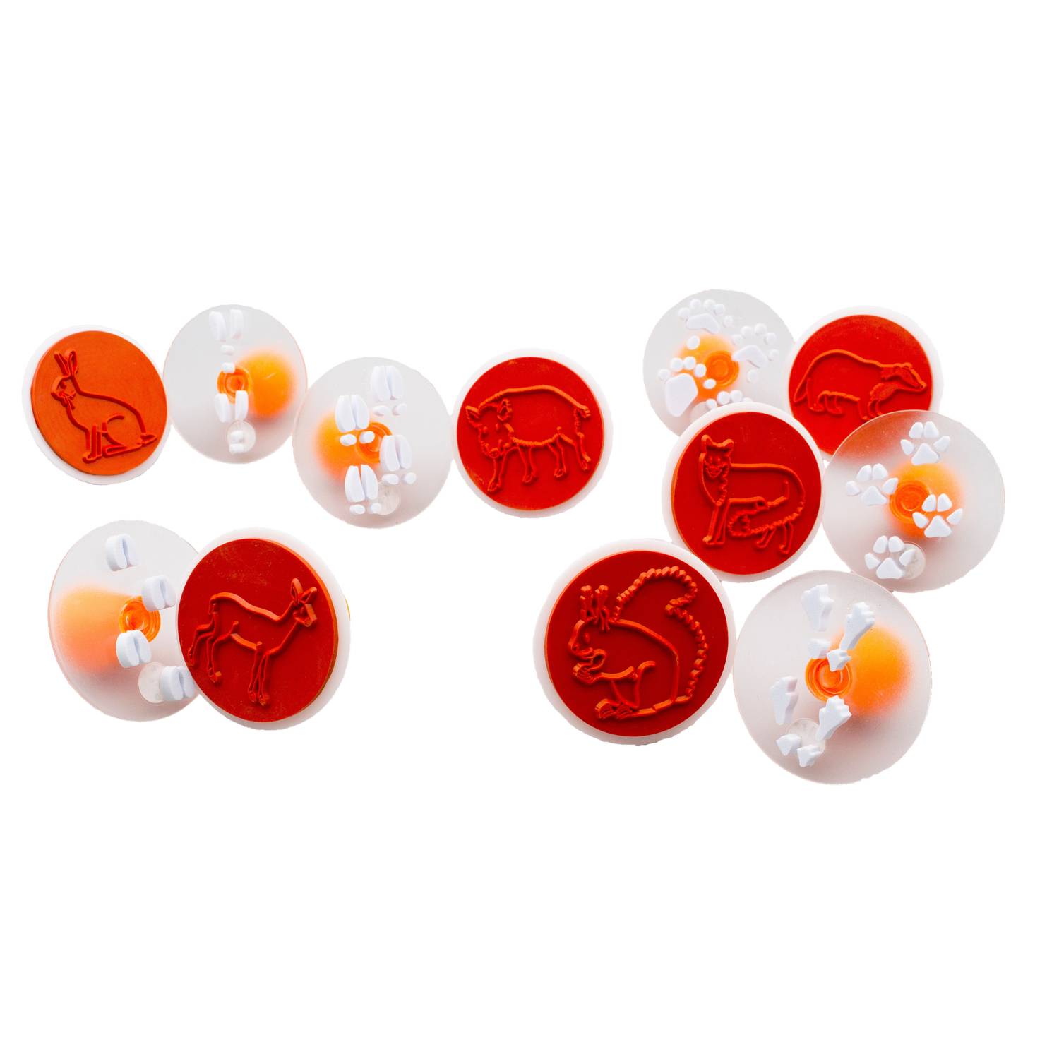 EDUPLAY 220-034 Natur Stempel Tierspuren, mehrfarbig, 12-teilig (1 Set)