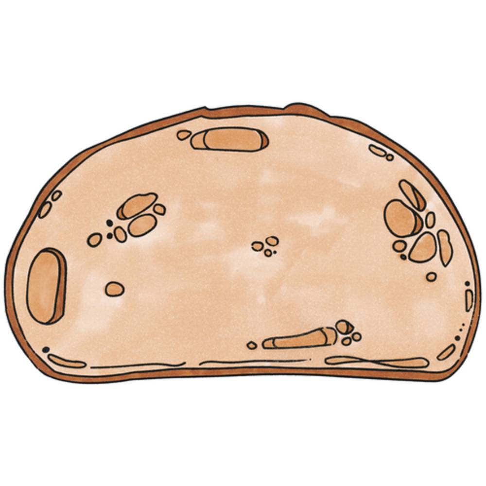 EDUPLAY 220093 Ernährungsstempel, mehrfarbig, 12-teilig (1 Set)