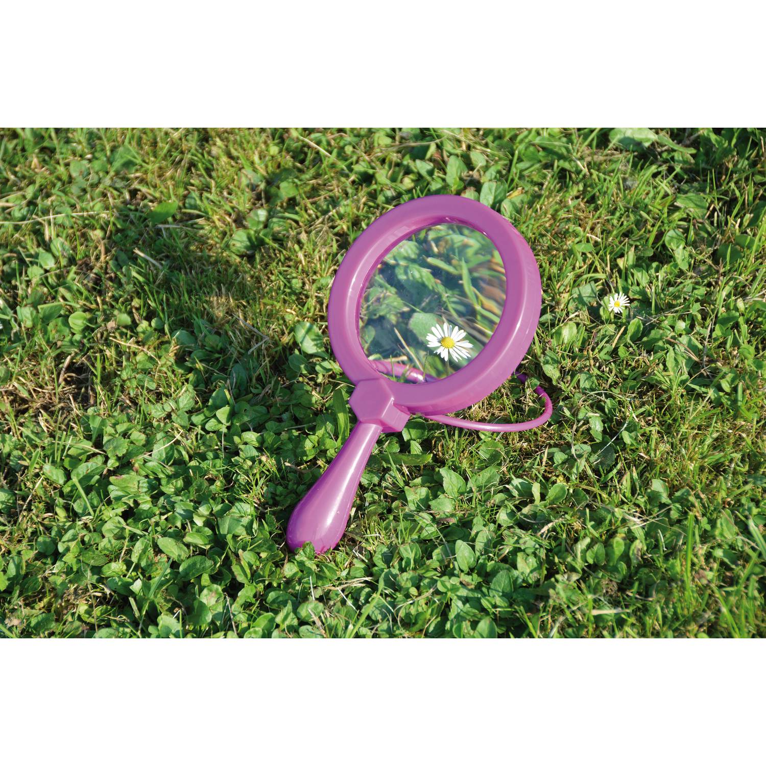 EDUPLAY 150119 Hand-/ Standlupe groß (Farbe zufällig, 1 Stück)